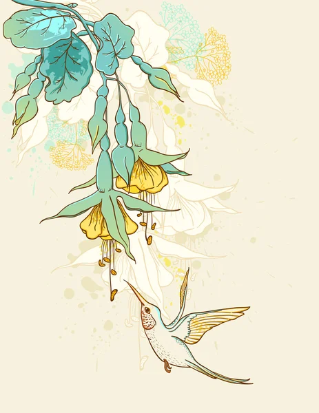 Blommor och kolibri — Stock vektor
