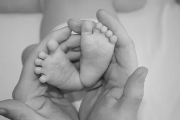 Bebês pés Imagem De Stock