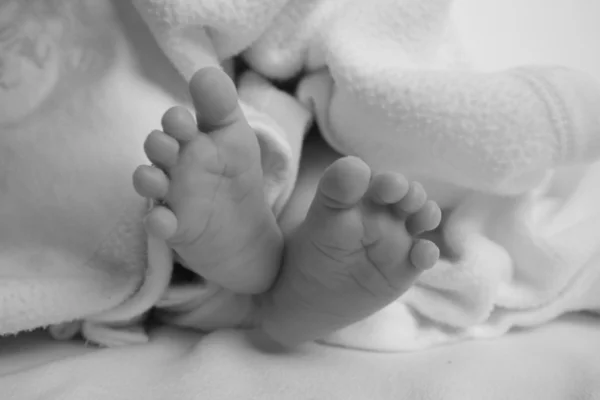 Zoete baby voeten — Stockfoto