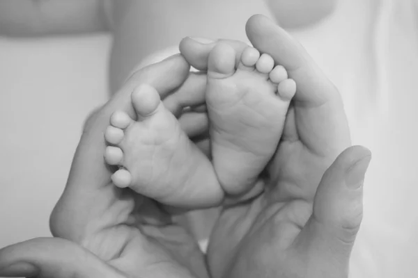 stock image Sweet baby feet