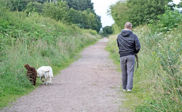 Homme et son chien — Photo