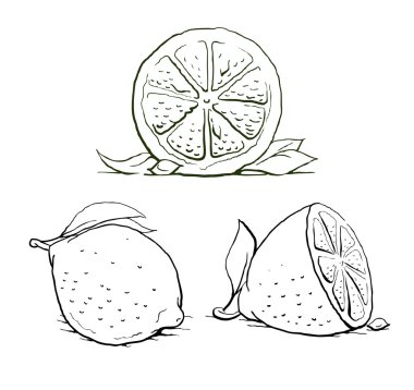 Ripe lemon with leaf. vintage set. clipart