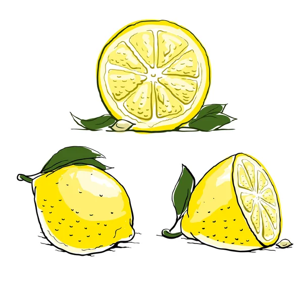 Olgun limon yaprağı. Vintage seti. — Stok Vektör