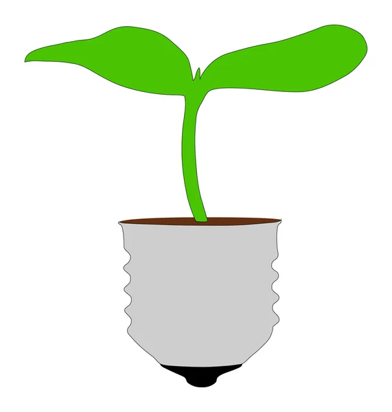Silueta de la planta, que crece a partir de los bulbos de base — Vector de stock