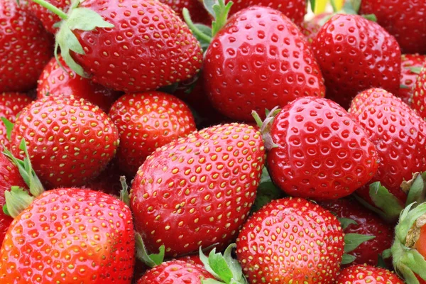 딸기의 일부 — 스톡 사진