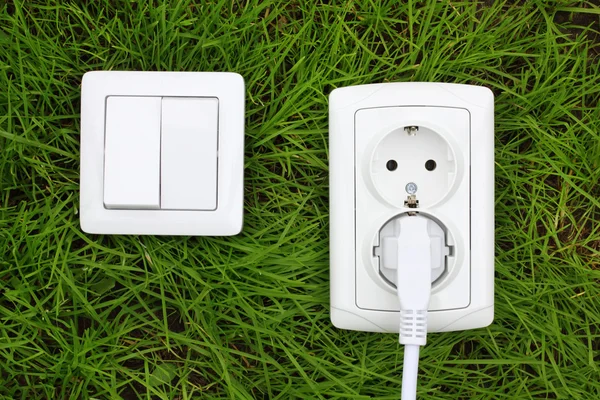 Receptor de alimentación y interruptor de luz en una hierba verde —  Fotos de Stock
