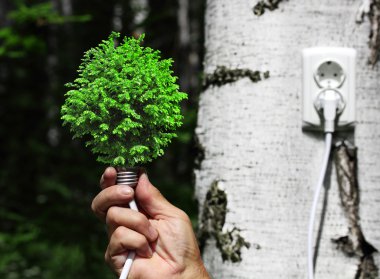 Tree growing from the base of the light bulb clipart