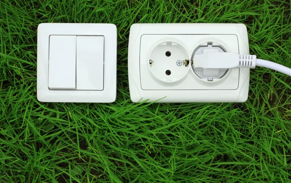 Power receptacle and light switch on a green grass — Stock Photo, Image