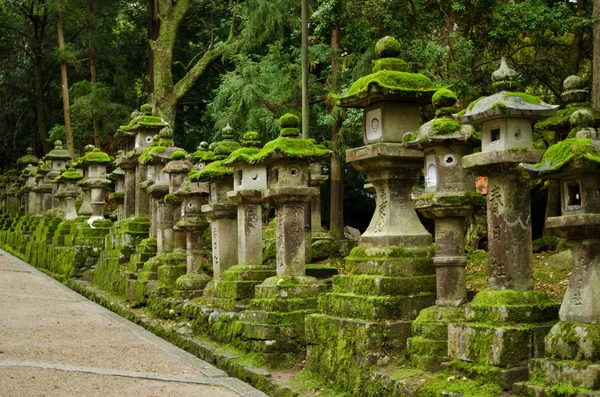 Lanterne in pietra a Nara — Foto Stock