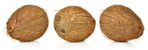 Kokosnoten — Stockfoto