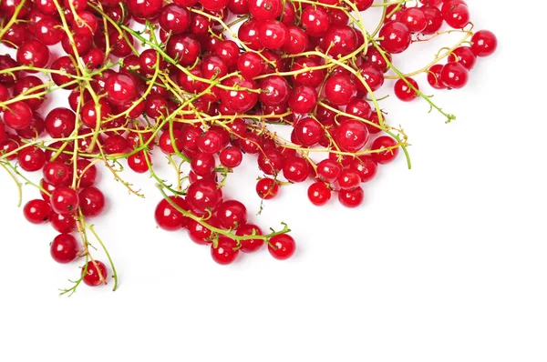Ripe fresh red currant — Stock Photo, Image