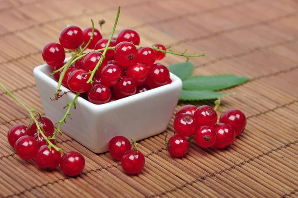 Harvested red currant — Stock Photo, Image