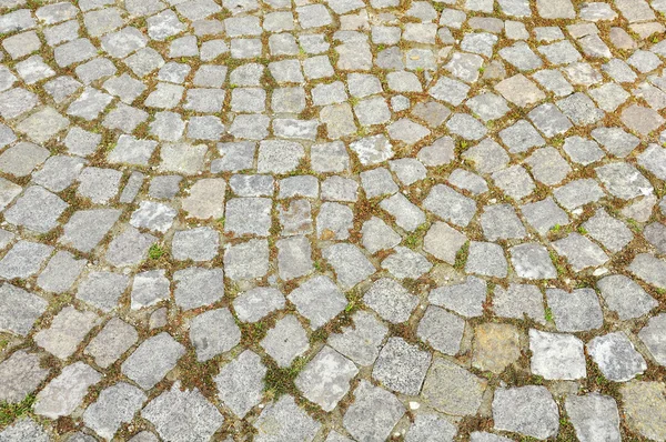 stock image Paving stones