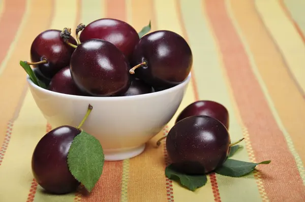 Plums in white bowl — Stock Photo, Image
