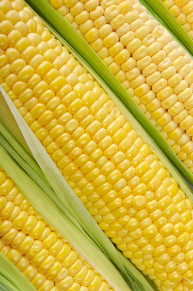 Nyers kukorica — Stock Fotó