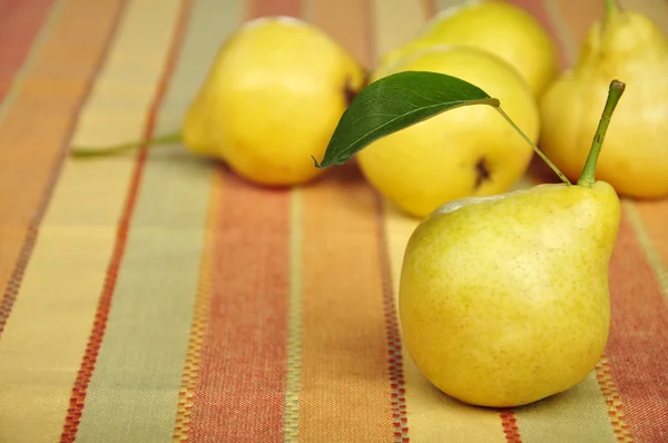 stock image Fresh pears