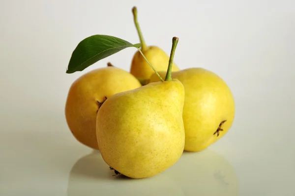 stock image Fresh pears