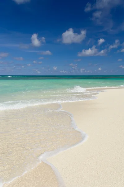 Playa tropical de arena en verano día soleado, composición vertical — Foto de Stock