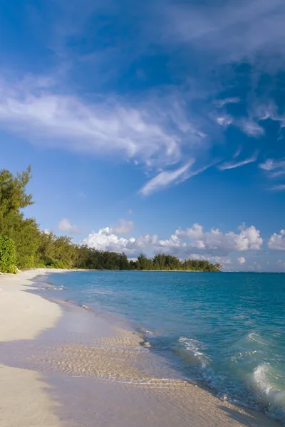 Mooi tropisch strand met palmbomen — Stockfoto