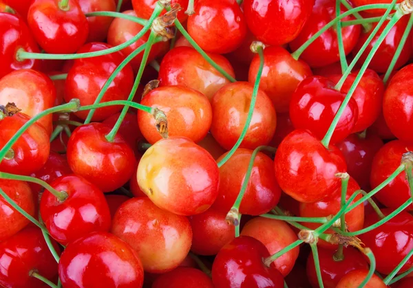 Cherry background — Stock Photo, Image