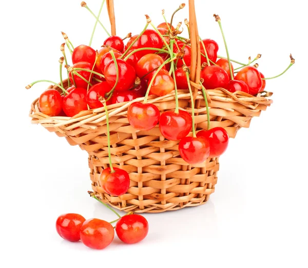 Cherries in basket — Stock Photo, Image