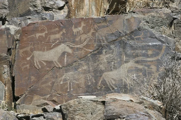 Pintura rupestre — Fotografia de Stock