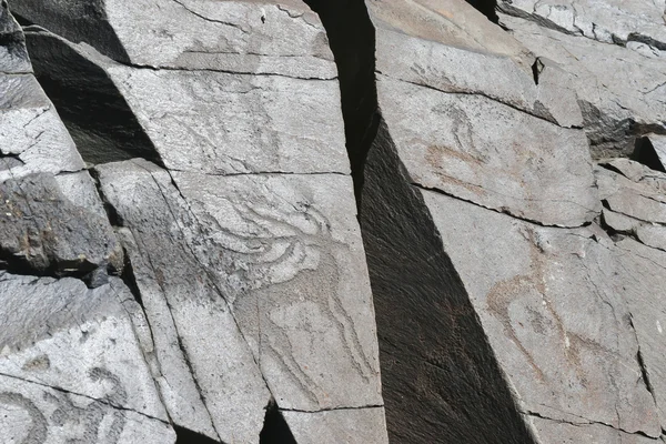 古代の岩絵 — ストック写真