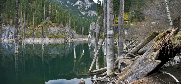 Lago salvaje — Foto de Stock