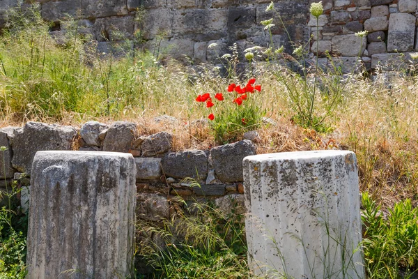 Ruinas en Kos, Grecia —  Fotos de Stock