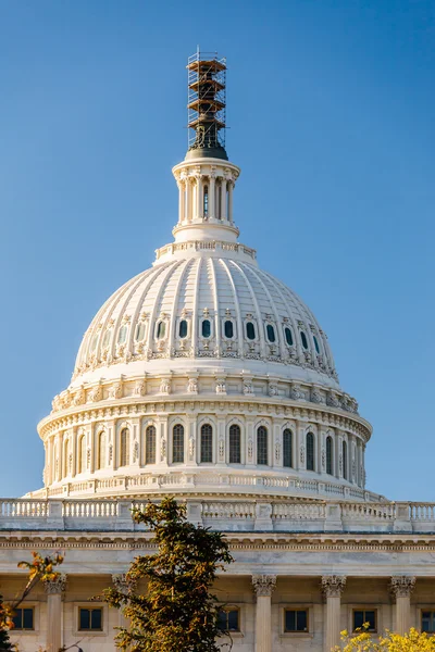 Capitoliul SUA, Washington DC — Fotografie, imagine de stoc