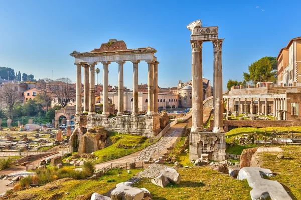 stock image Roman ruins in Rome, Forum