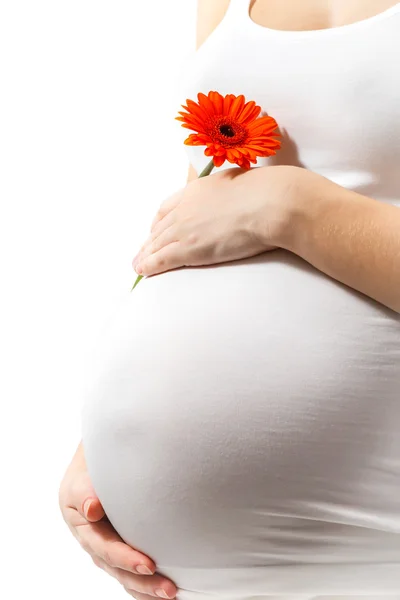 Femme enceinte touchant ici le ventre — Photo