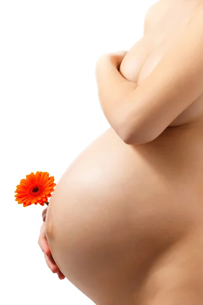 임신 부 배 만지고 여기 — 스톡 사진