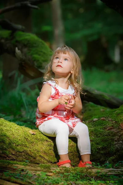 Bambina nella foresta — Foto Stock