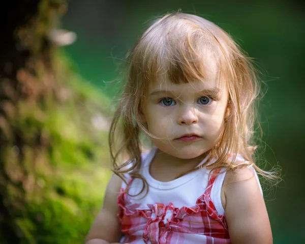 Little girl in the forest — Stock Photo, Image