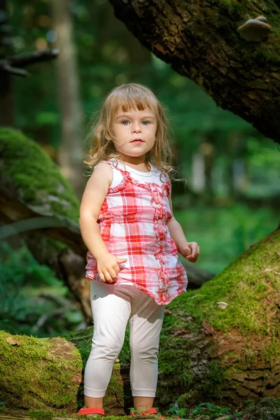 Dziewczynka w lesie. — Zdjęcie stockowe