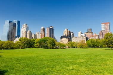 Central park at sunny day clipart