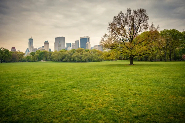 Central Park bei Regentag — Stockfoto