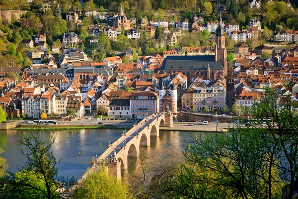 Heidelberg at spring — Stockfoto