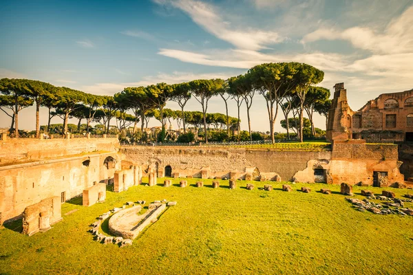Ruinerna av stadium domitanus, Rom — Stock fotografie