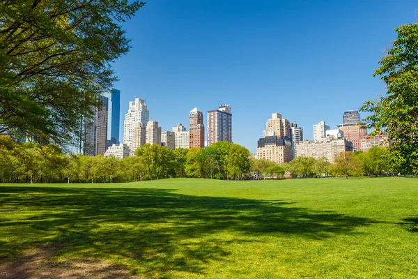 Central Park an sonnigem Tag — Stockfoto