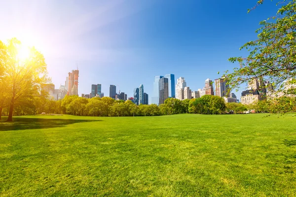 Central park at sunny day — Stock Photo, Image