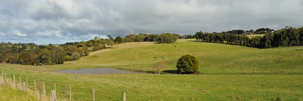 Ферма на холмах панорама — стоковое фото