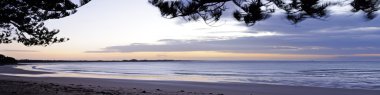 Sunrise at Torquay panorama clipart