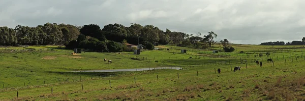 Atlara tarım arazileri panorama — Stok fotoğraf