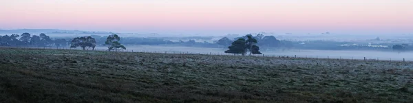 stock image Trees on farmland in morning