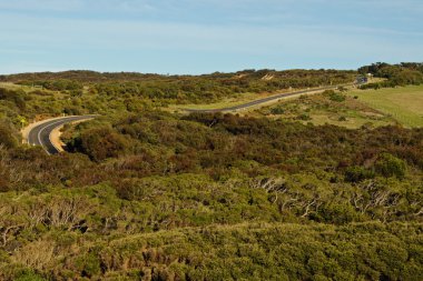 Road on hills in forest clipart