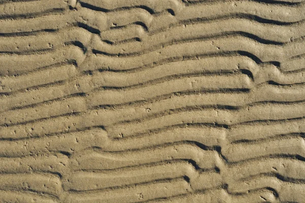 stock image Sandy waves texture