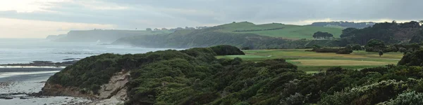 高尔夫球场和海洋 — 图库照片