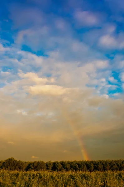 Rainbow in Po Valley, Italia — kuvapankkivalokuva